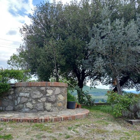Agriturismo Riparossa Allerona Zewnętrze zdjęcie