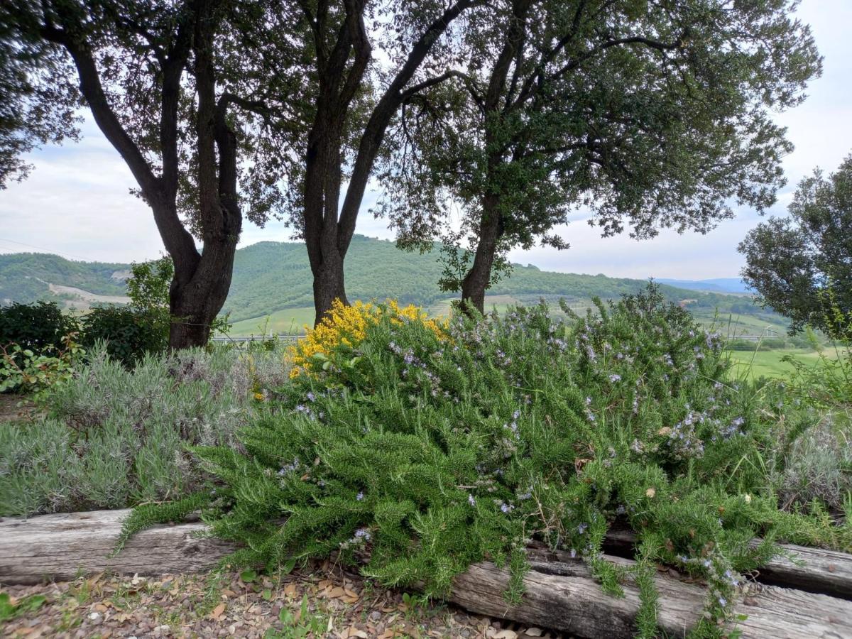 Agriturismo Riparossa Allerona Zewnętrze zdjęcie