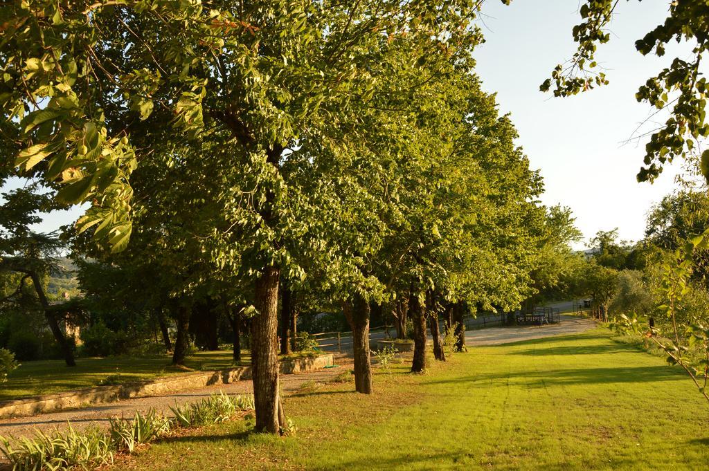 Agriturismo Riparossa Allerona Zewnętrze zdjęcie