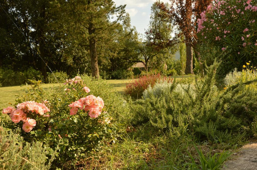 Agriturismo Riparossa Allerona Zewnętrze zdjęcie