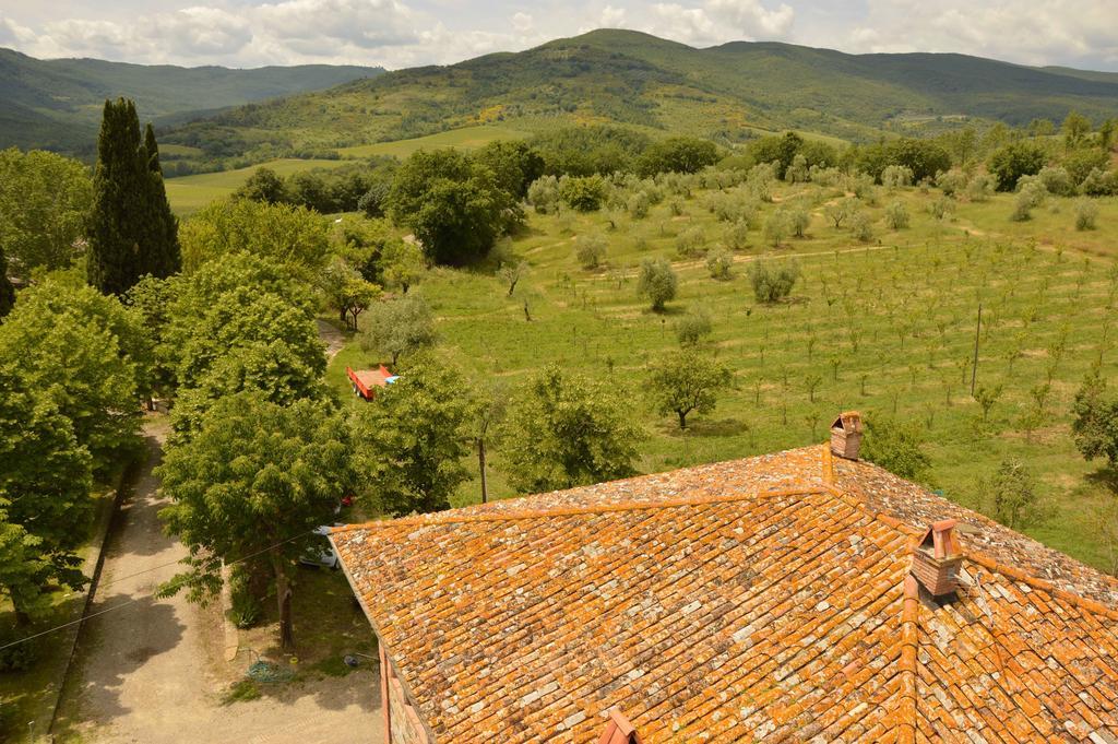Agriturismo Riparossa Allerona Zewnętrze zdjęcie