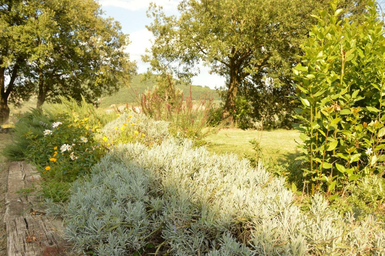 Agriturismo Riparossa Allerona Zewnętrze zdjęcie
