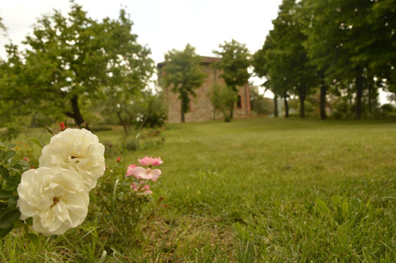 Agriturismo Riparossa Allerona Zewnętrze zdjęcie
