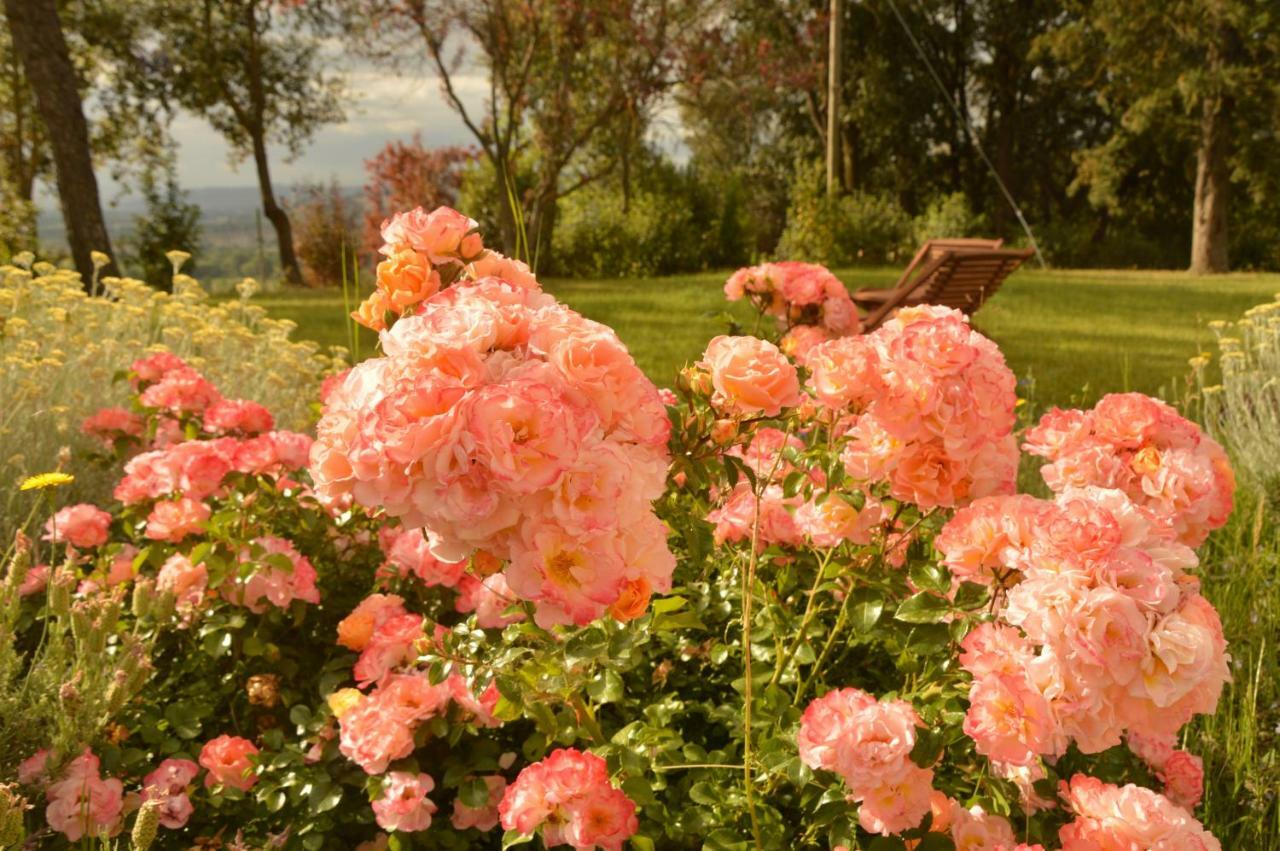 Agriturismo Riparossa Allerona Zewnętrze zdjęcie
